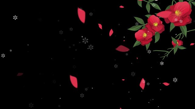 Red camellia flowers with green leaves and falling petals drift down against a black background with white snowflakes with drifting downward against dark background small