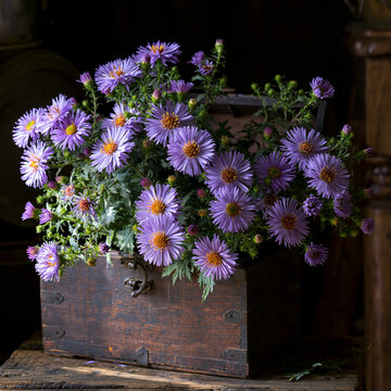 flowers in a wooden box