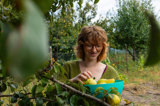 A happy gardener in the vegetable garden.
