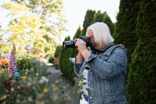 Senior woman photographer taking pictures in sunny garden