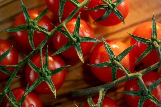 Cherry tomatoes on vine showing fresh organic produce