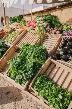 Organic vegetables and herbs on a farm market