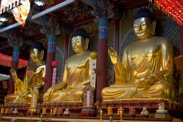 Obraz premium Three golden Buddha statues inside an ornate Korean temple hall