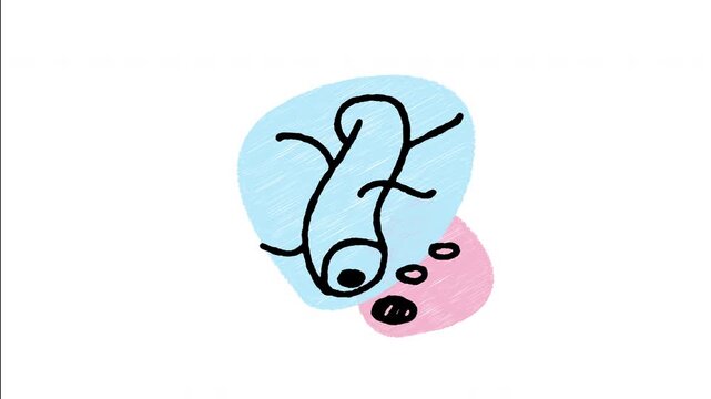 An animated hand-drawn blood vessel section showing red and white blood cells flowing inside. Ideal for circulatory system education, hematology research, and cardiovascular health. 