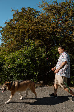 Candid man walking dog on sunny trail by green bushes