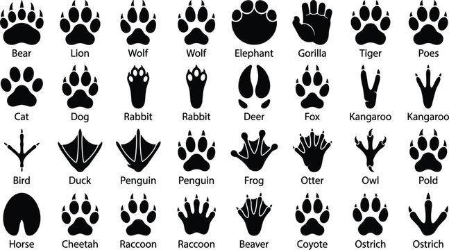 Solid black animal footprint and paw print silhouette icons set with text labels including bear lion wolf elephant duck horse vector