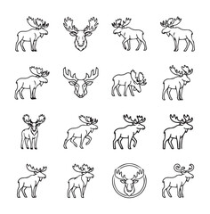 Obraz premium Moose icons in clean line drawing style for nature and wildlife branding during winter