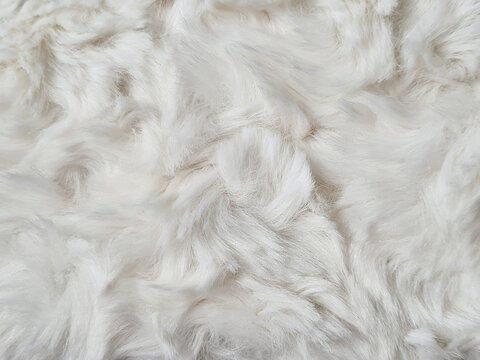 Close-up of long-haired, off-white Mongolian Faux Fur fabric. Soft Mongolian style synthetic fur fabric surface, made from a blend of acrylic and polyester fibers, as a substitute for real animal fur.