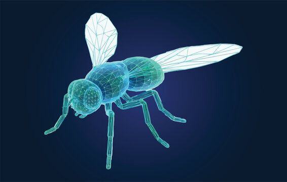 Polygonal wireframe bio-robot cybernetic housefly insect drone vector illustration on a dark blue background
