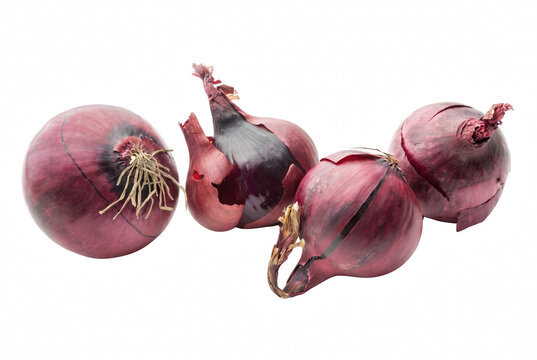 Four Whole Red Onions with Purple Skins