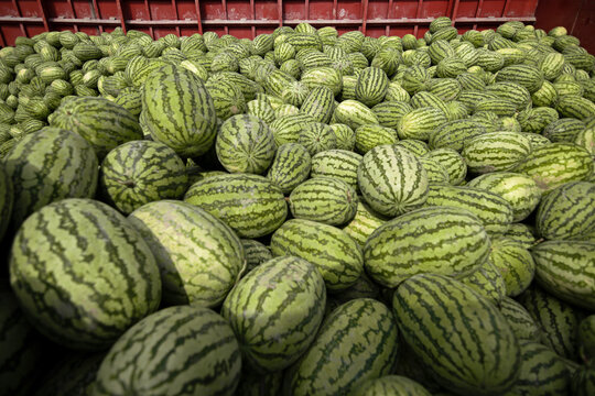 Narayanganj, Bangladesh - 01 April 2021: View of a large pile of fresh watermelons being unloaded from a boat by workers for sale at a local market.