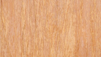Obraz premium wood texture background