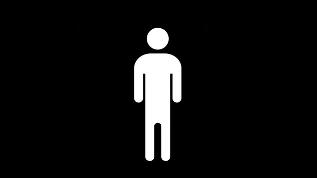 Gender demographics infographic male animation on transparent background, 4k video