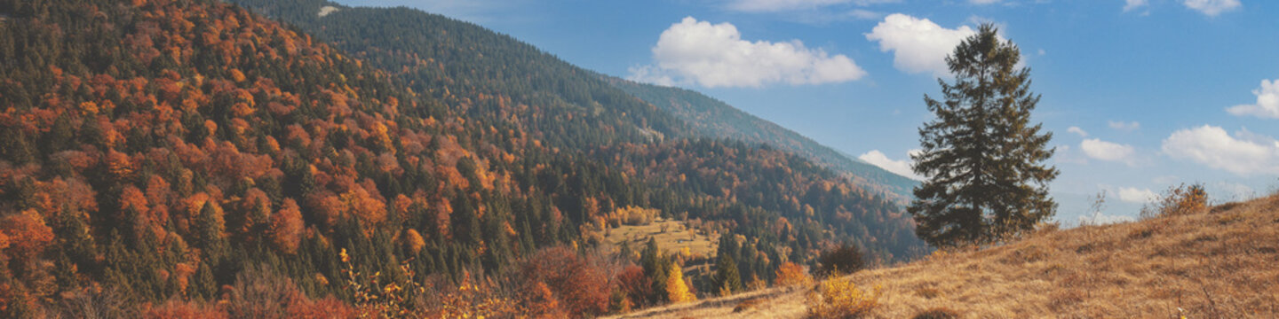 Autumn in the mountains. View of the mountains in autumn. Beautiful nature landscape. Carpathian mountains. Synevyr Pass, Zakarpattia Oblast, Ukraine