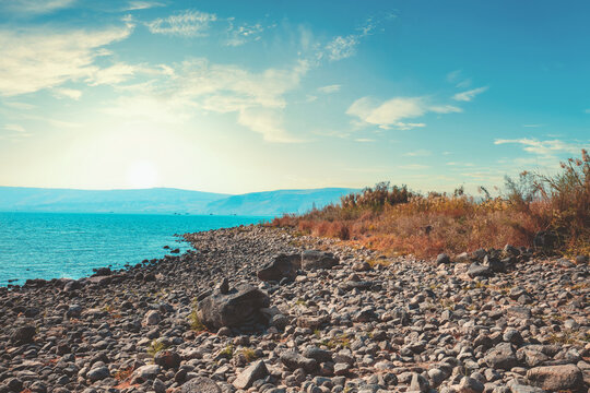 Rocky seascape. Seashore near Ein Eyov Waterfall in Tabgha. Sea of Galilee, Israel