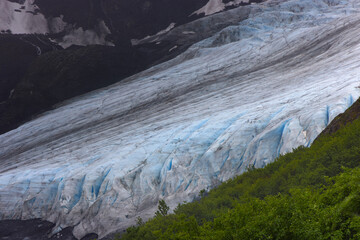 View of Exit Glacier in Seward, Alaska. View from Harding Icefield Trail © Stefano