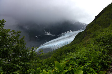 View of Exit Glacier in Seward, Alaska. View from Harding Icefield Trail © Stefano