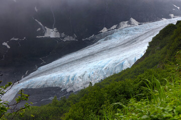 View of Exit Glacier in Seward, Alaska. View from Harding Icefield Trail © Stefano