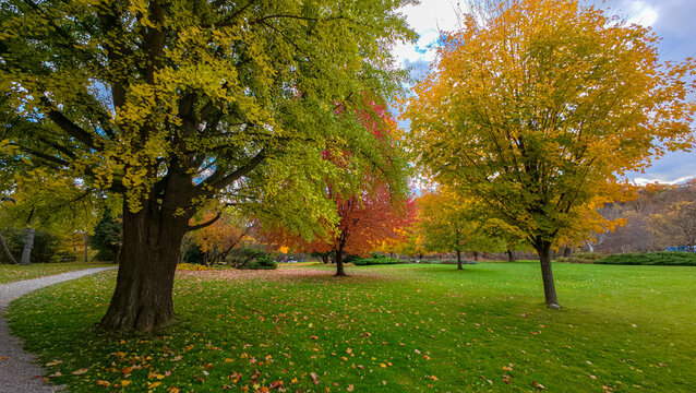 Vibrant autumn foliage at James Gardens in Toronto