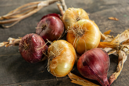 Fresh red and yellow onions placed on rustic wooden background, organic agriculture and culinary harvest concept