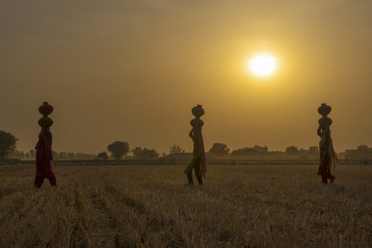 Multan, Punjab, Pakistan - 05 May 2017: View of three women carrying water pots on their heads while walking across a harvested field at sunset.