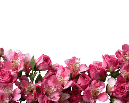 Pink rose and alstroemeria flower arrangement with background soft green on transparent background
