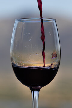 Copa de vino