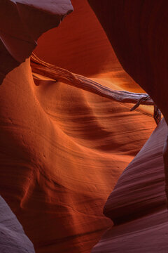 Beautiful vertical abstract view of a sandstone slot canyon with a wedged dead tree branch
