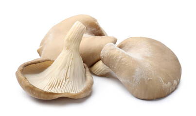 Three fresh oyster mushrooms isolated on white © New Africa