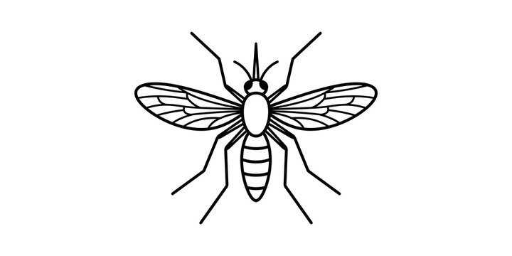 Black outline mosquito icon isolated on transparent background, top view vector illustration for insect control.