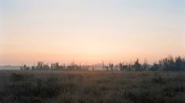 Serene sunrise over misty coastal marshland with silhouetted trees and calm waters.