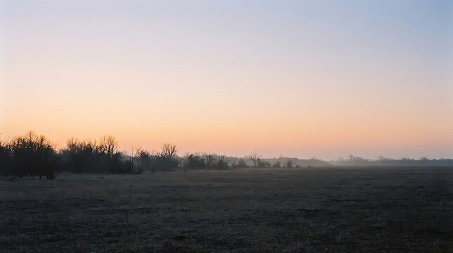 Serene dawn over misty rural landscape with silhouetted trees and open fields