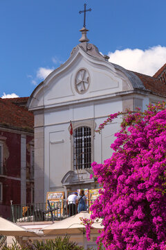 Historic Church and Bougainvillea in Lisbon, Portugal on a Sunny Day