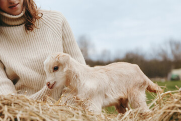 Naklejka premium Casual lifestyle scene with a goat kid beside a woman in a beige sweater on a farm, enjoying sunny weather among straw, peaceful rural mood and affectionate animal companionship