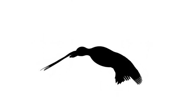 Bird Flying in Black Silhouette as Wings Move Against Plain White Background