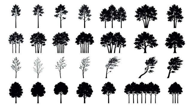 Aspen Tree Silhouettes Set, Forest plant vector icons, Minimalist deciduous and coniferous tree shapes design, nature, deciduous, coniferous, pine, oak, wood, foliage, branch, trunk, minimalist, black