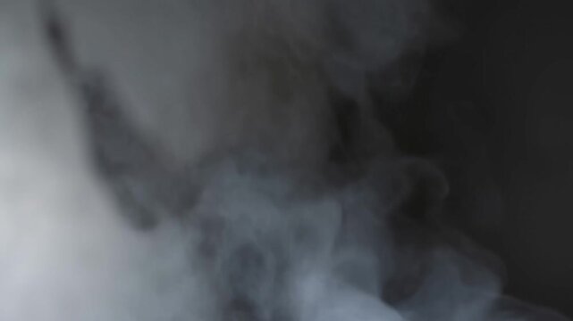 Dental Xray showing molar teeth and jawbone in a closeup grayscale view