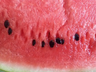 slice of watermelon © Nadezda