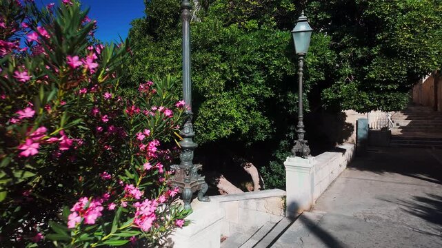 First-person walk through a narrow street near Dubrovnik Old Town, Croatia, lined with weathered stone walls and blooming oleander bushes on a sunny summer day.