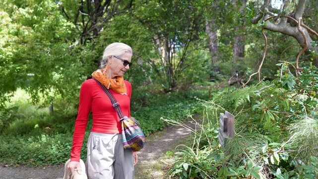 A senior woman walks through the Mendocino Coastal Botanical Gardens in Fort Bragg California enjoying the plants and flowers around her.