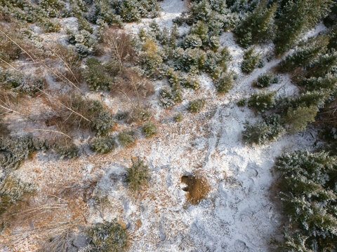 Aerial view of old copper mine dumps in Svatodusna dolina surrounded by snow-covered pine trees and forest terrain in Lubietova, Banska Bystrica Regio, Slovakia.