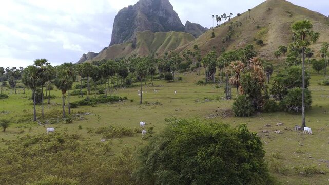 Aerial view of Nuca Molas peak rising above lush green hills and tropical vegetation in Satar Mese Barat, East Nusa Tenggara, Indonesia.