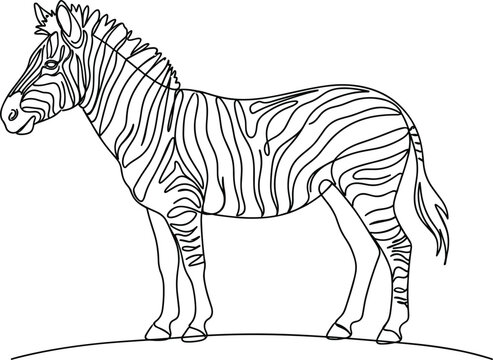 African zebra standing side view profile vector illustration with black striped body pattern isolated on white background
