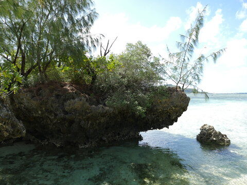 Scenic ocean view, Rota, Mariana Islands	