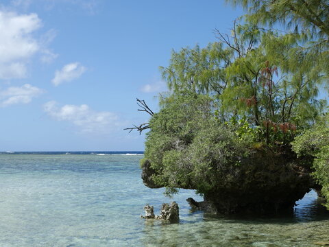 Scenic ocean view, Rota, Mariana Islands	