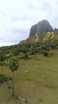 Aerial view of Nuca Molas peak rising above lush green hills and tropical vegetation in Satar Mese Barat, East Nusa Tenggara, Indonesia.