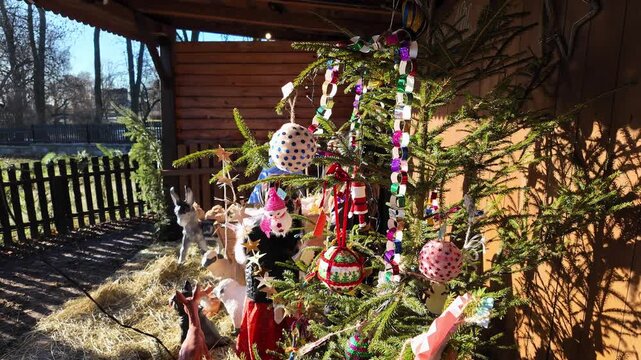 Video of Christmas tree decorated with handmade ornaments, paper chain and baubles, set in front of wooden nativity scene with animal figures and straw in daylight.
