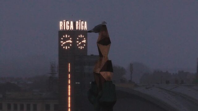 An aerial shot captures a gull resting atop the stars of the Freedom Monument against the illuminated illuminated central station clock tower in Riga at dusk.