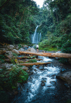 Aerial view of Tiu Kelep Waterfall with a person standing on a fallen log over the river surrounded by lush tropical forest in Bayan, West Nusa Tenggara, Indonesia.