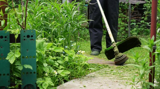 Gardener use grass trimmer in lush backyard garden